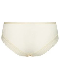 Triumph Γυναίκες Κλασικά Σλιπ Κλασικό σλιπ ψηλόμεσο Tempting Tulle Maxi 10205457 Κίτρινο -Triumph Κατάστημα unnamed file 1127