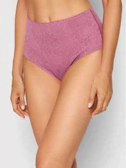 Triumph Γυναίκες Κλασικά Σλιπ Κλασικό σλιπ ψηλόμεσο Fit Smart 10202477 Μωβ