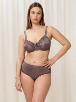 Triumph Γυναίκες Κλασικά Σλιπ Κλασικό σλιπ ψηλόμεσο Ladyform Soft 10210671 Καφέ