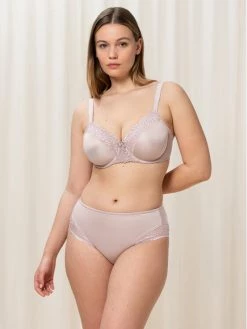 Triumph Γυναίκες Κλασικά Σλιπ Κλασικό σλιπ ψηλόμεσο Ladyform 10210671 Μωβ