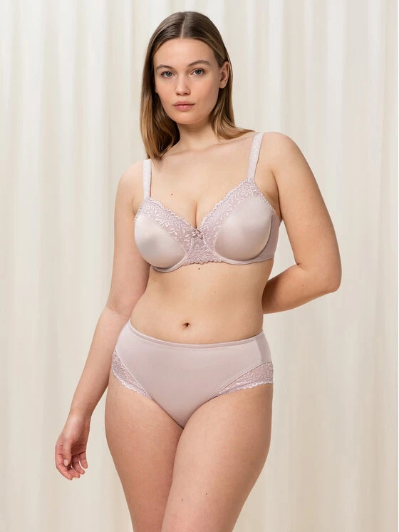 Triumph Γυναίκες Κλασικά Σλιπ Κλασικό σλιπ ψηλόμεσο Ladyform 10210671 Μωβ 3 Triumph Γυναίκες Κλασικά Σλιπ Κλασικό σλιπ ψηλόμεσο Ladyform 10210671 Μωβ