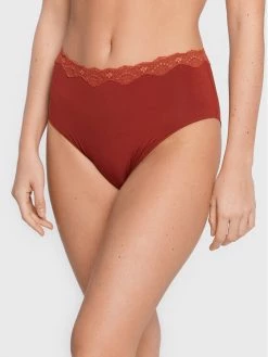 Triumph Γυναίκες Κλασικά Σλιπ Κλασικό σλιπ ψηλόμεσο Touch Of Modal 10182551 Καφέ